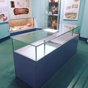 friends website image 18