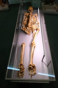 friends website image 19