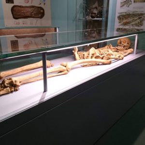 friends website image 20